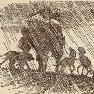 Иллюстрация к повести степь (48 фото)