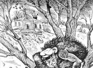 Дикий помещик книга