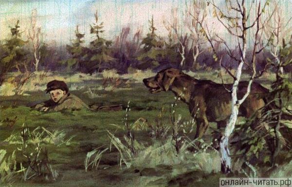 Пришвин кладовая солнцаилюстрации