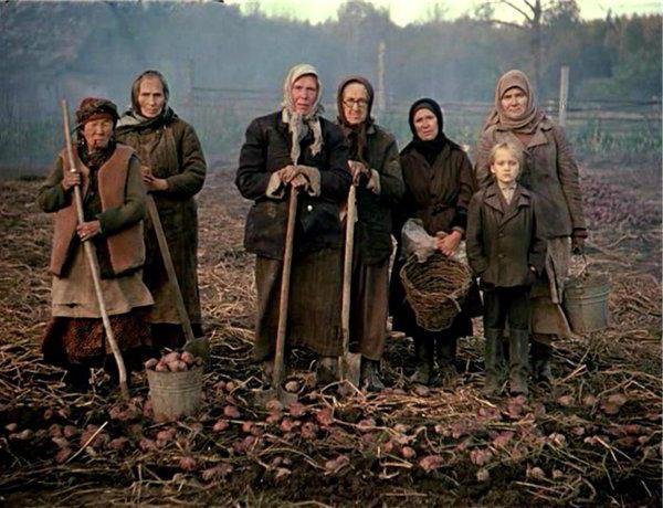 Валентин Распутин прощание с Матерой иллюстрации