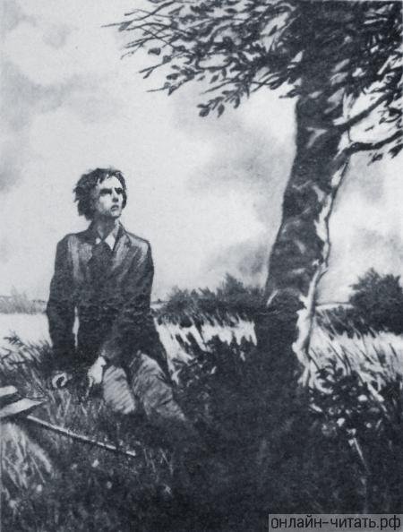 Иллюстрация к повести слепой музыкант