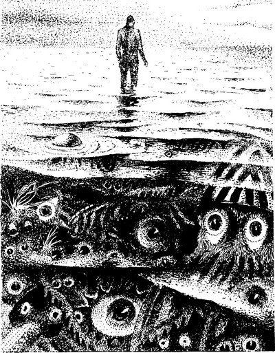 Гансовский улитка на склоне