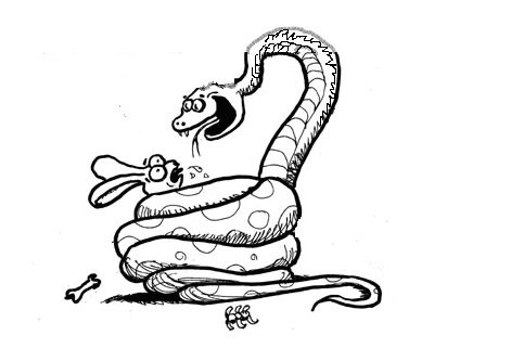 Кролики и удавы