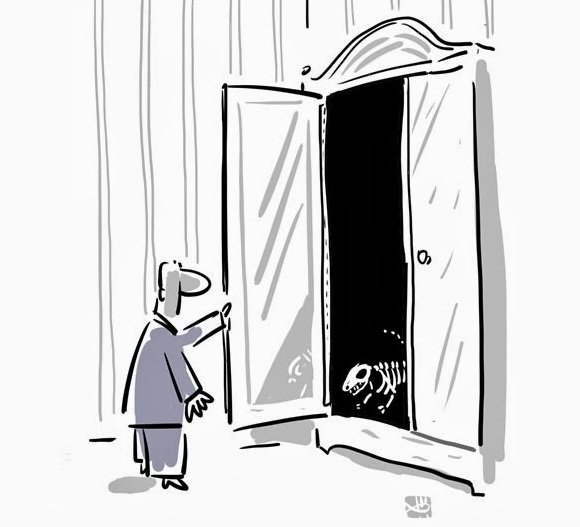 Шкаф прикольный шарж