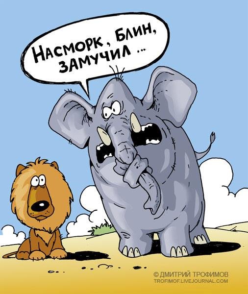 Спокойной ночи карикатура