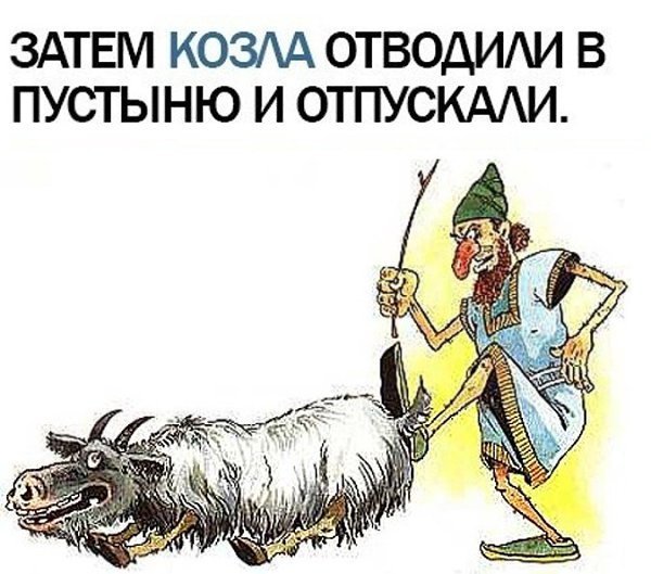 Козлы карикатура