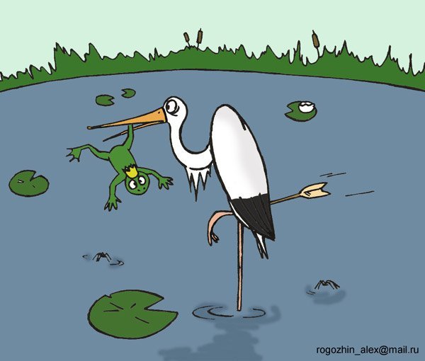 Аист ест лягушку