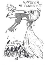 Раскраска никогда не сдавайся