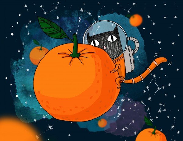 Мандаринка в космосе