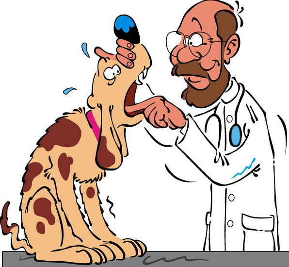 Смешной ветеринар