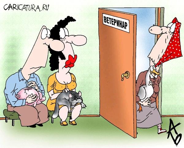 Кастрация кота карикатура