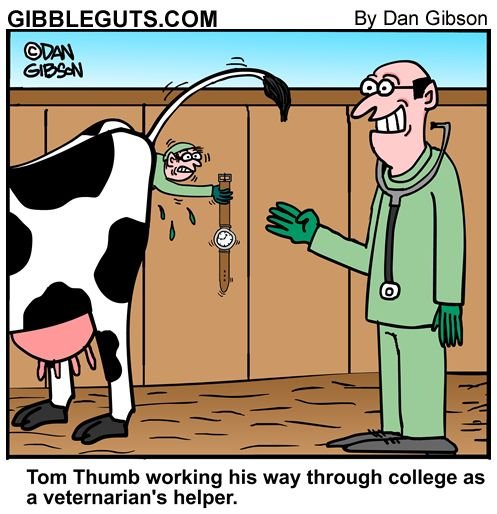 Оптимизация медицины карикатуры