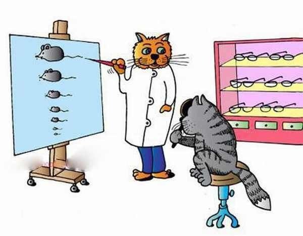 С днем ветеринарного врача