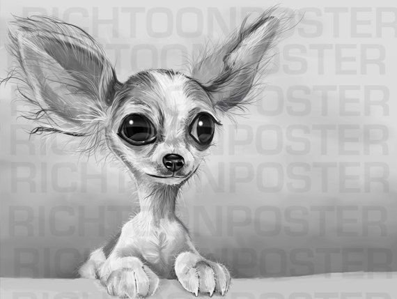 Чихуахуа карикатура