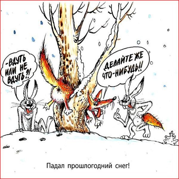 Волк карикатура