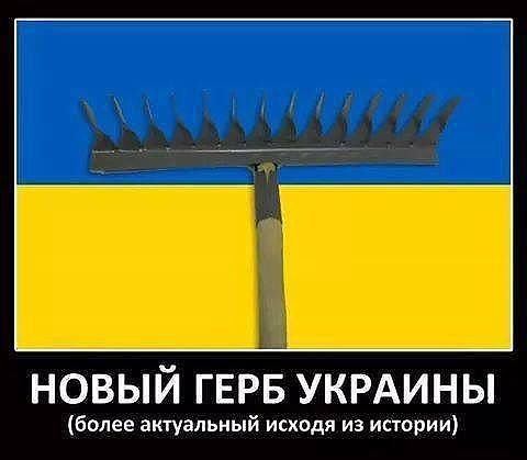 Хохол и грабли