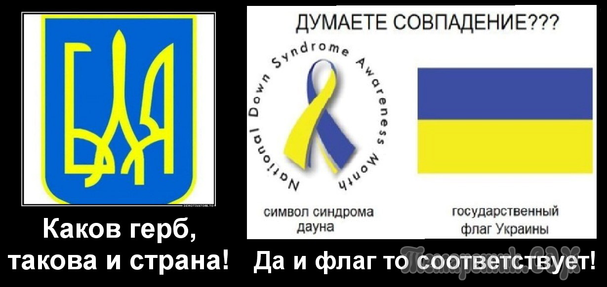 Можно на укр. Смешной герб Украины. Символ даунов и Хохлов. Флаг Украины. Символ даунов Украина.