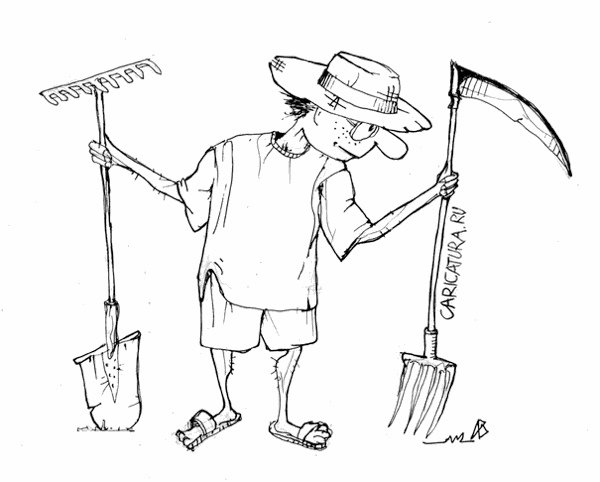 Грабли карикатура