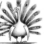 Павлин шарж