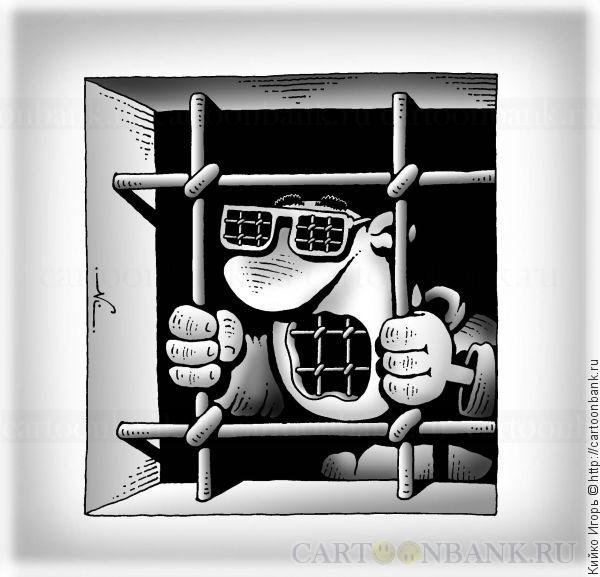 За решеткой карикатура