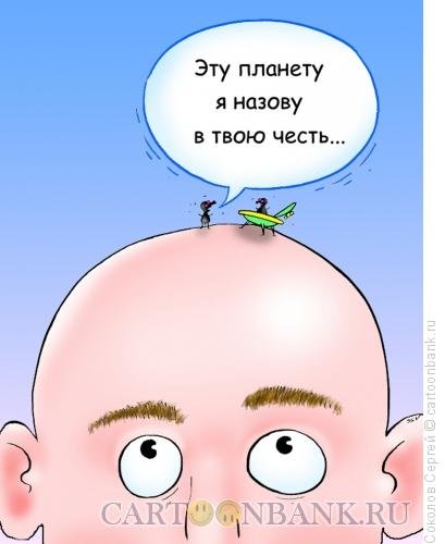 Шутки про лысых