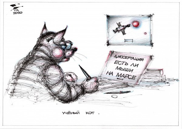 Репортер прикол