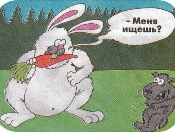 Заяц карикатура