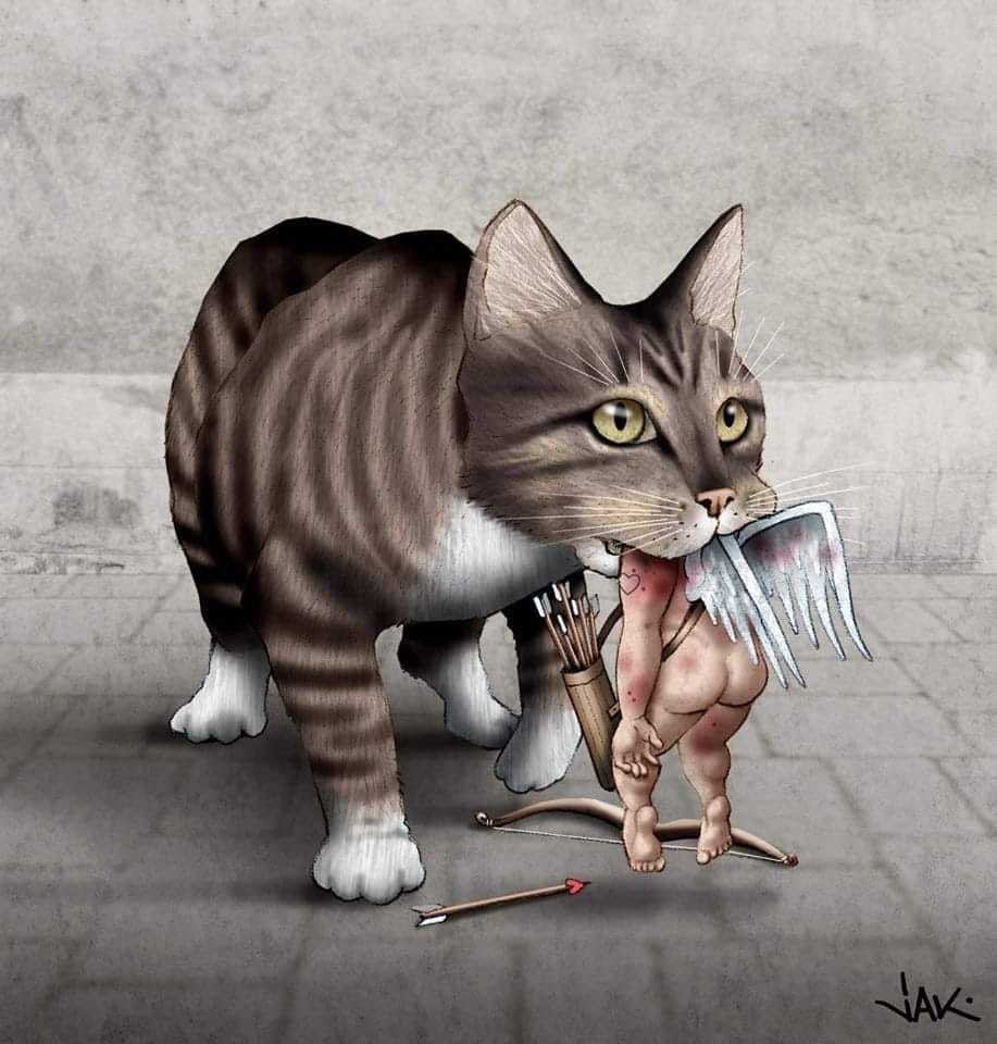 Сумасшедшие коты и кошки