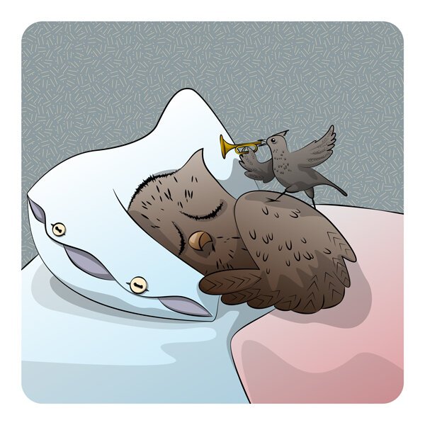 Тонкая Сова