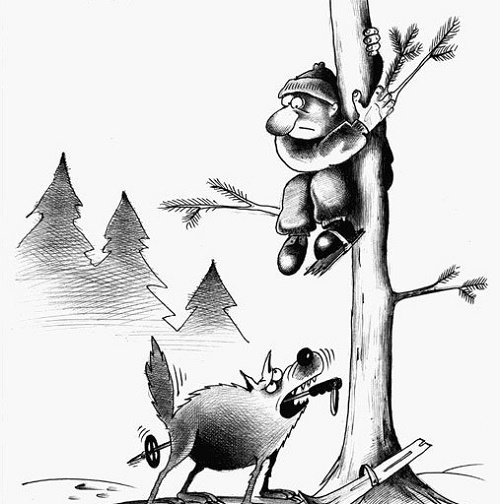 Карикатуры про Волков