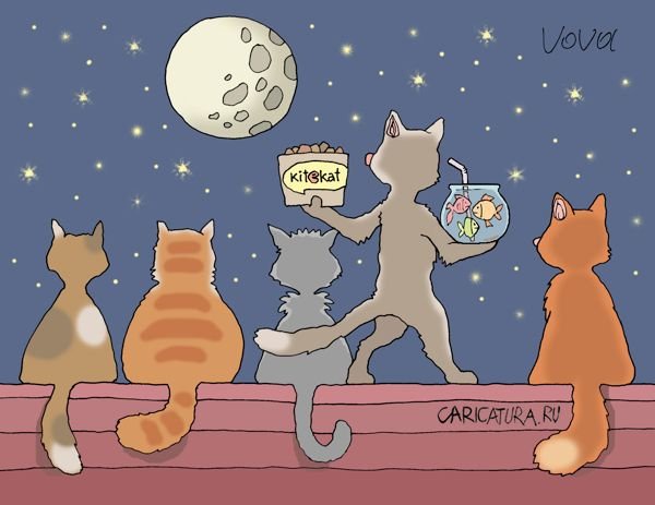 Кастрация кота карикатура