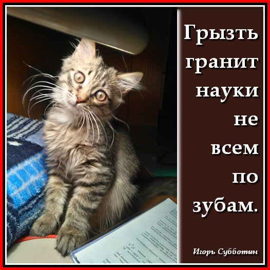 Скульптура гранит науки Абакан