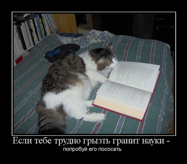 Грызть гранит науки картинки прикольные