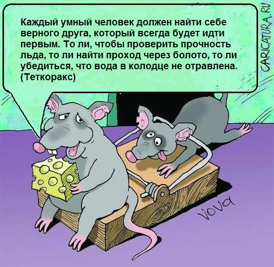 Дружба карикатура