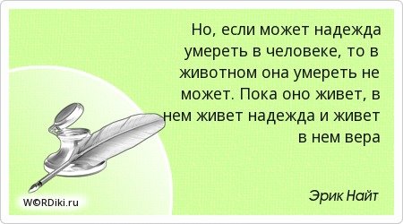 Как говорила моя бабушка