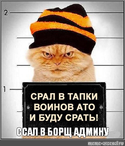 Ложкин художник коты