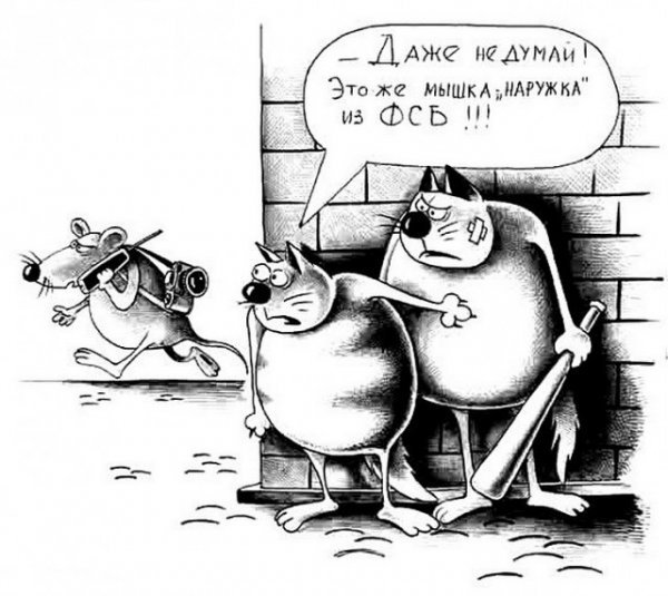 Наружка карикатура