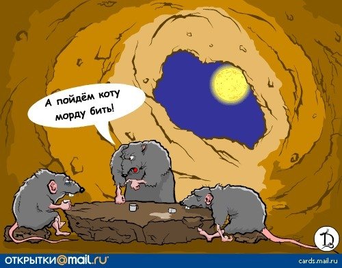 Шутки про мышей