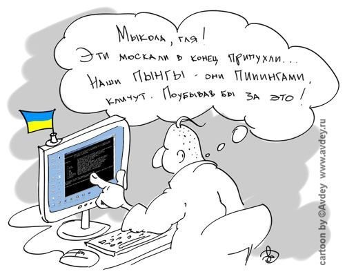 Компьютерщики карикатура