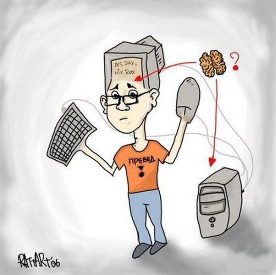 Программист карикатура