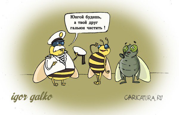 Неправильные пчелы карикатура