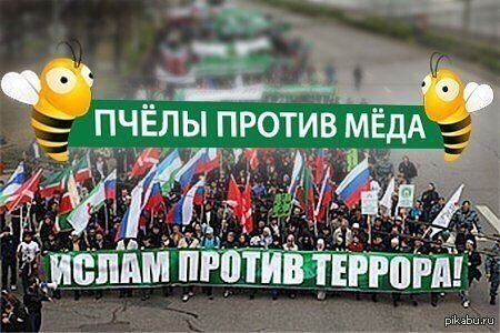 Шутка про пчелку