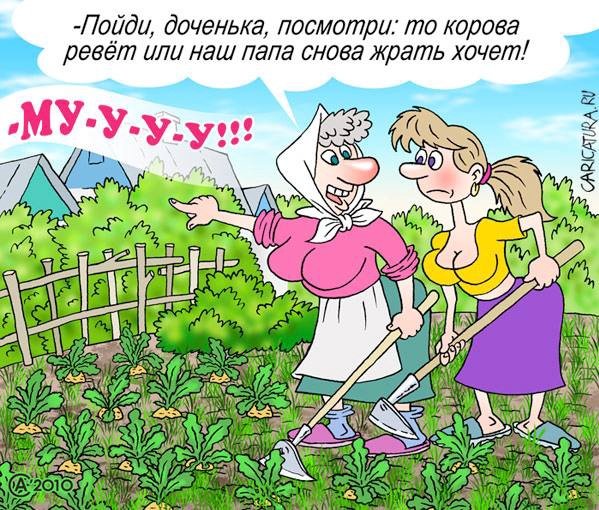 Бабушка на грядках смешная карикатура
