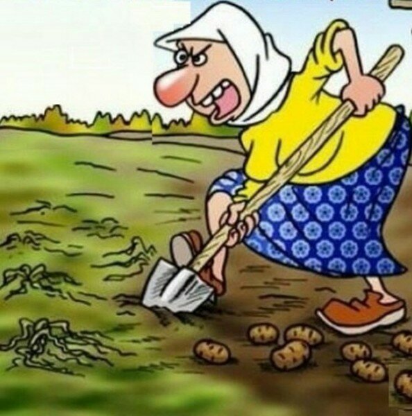 Анекдоты про дачу в картинках