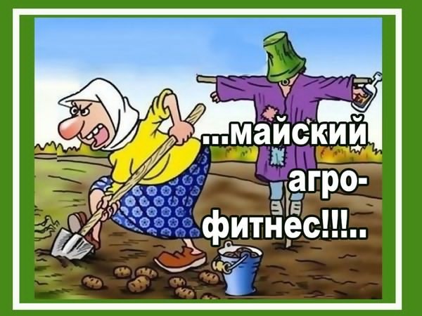 Смешные анекдоты