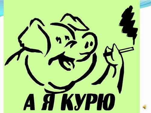 Граффити свинья