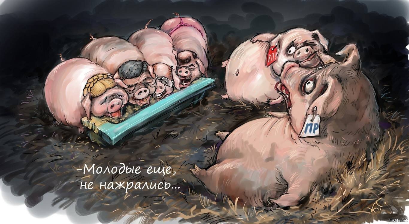 Карикатуры на украинскую власть