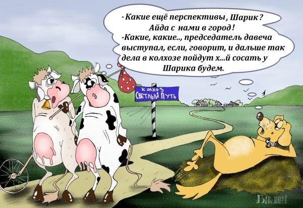 Трахтенберг Режиссер