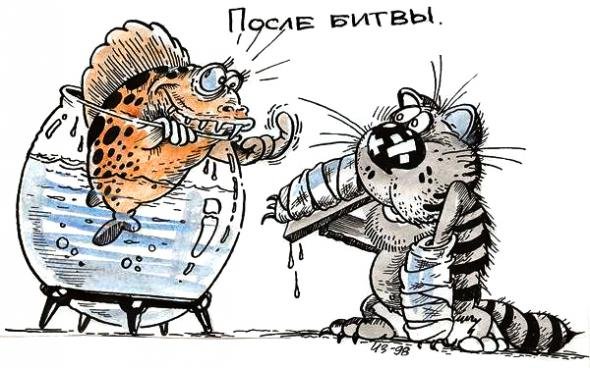 Карикатуры про котов смешные