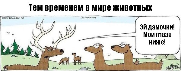 Иногда бывает трудно